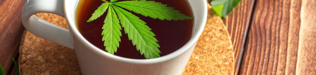 Die Kraft der Cannabis Pflanze in einem leckerer Tee. Gesunder Hanf Tee ohne THC auf CBDprime!